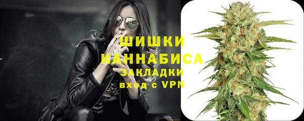 шишки Наволоки