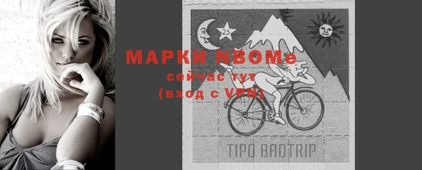 шишки Наволоки