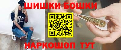 хмурый Кингисепп