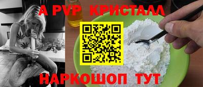 хмурый Кингисепп