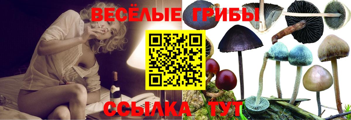 Псилоцибиновые грибы MAGIC MUSHROOMS Искитим